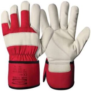 Hanske Svin,vinterforet