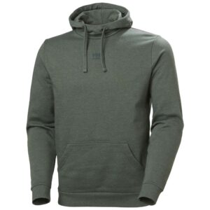 CLASSIC LOGO HOODIE 476SPRUCE